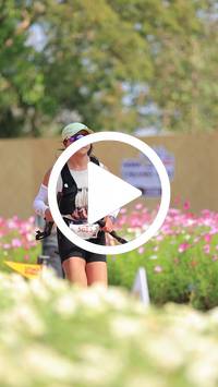 BIB:  <button type="button" onclick="openModal(27588010)" class="btn btn-primary btn-sm float-right" data-toggle="modal" data-target=".modal-high-quality">
                <i class="fa fa-download"></i> Download
                </button>